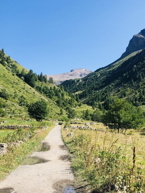 Welche sind die besten natürlichen Materialien für atmungsaktive Babykleidung?